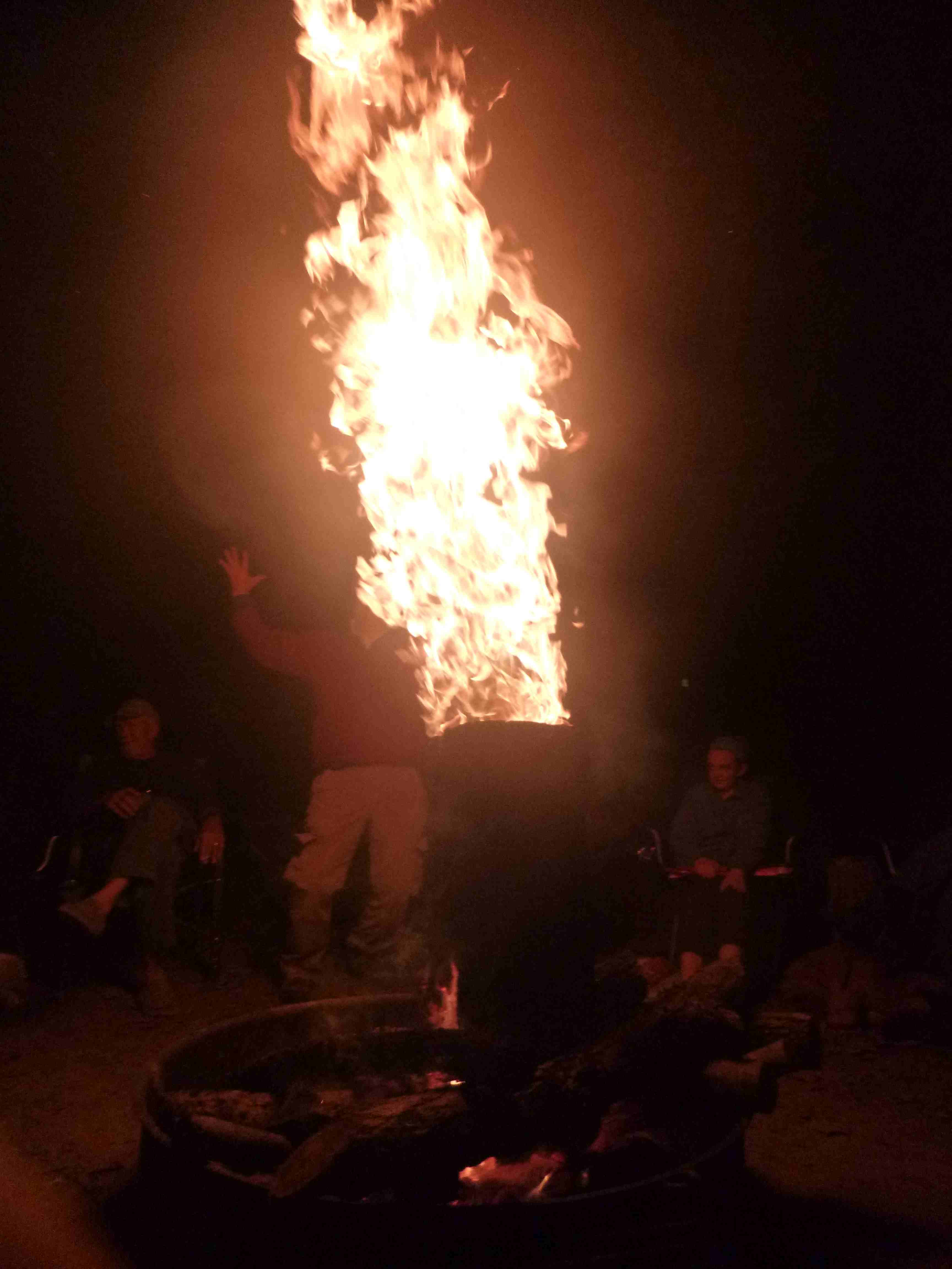 2016-10-08 Pulltite Hollow logs.jpg